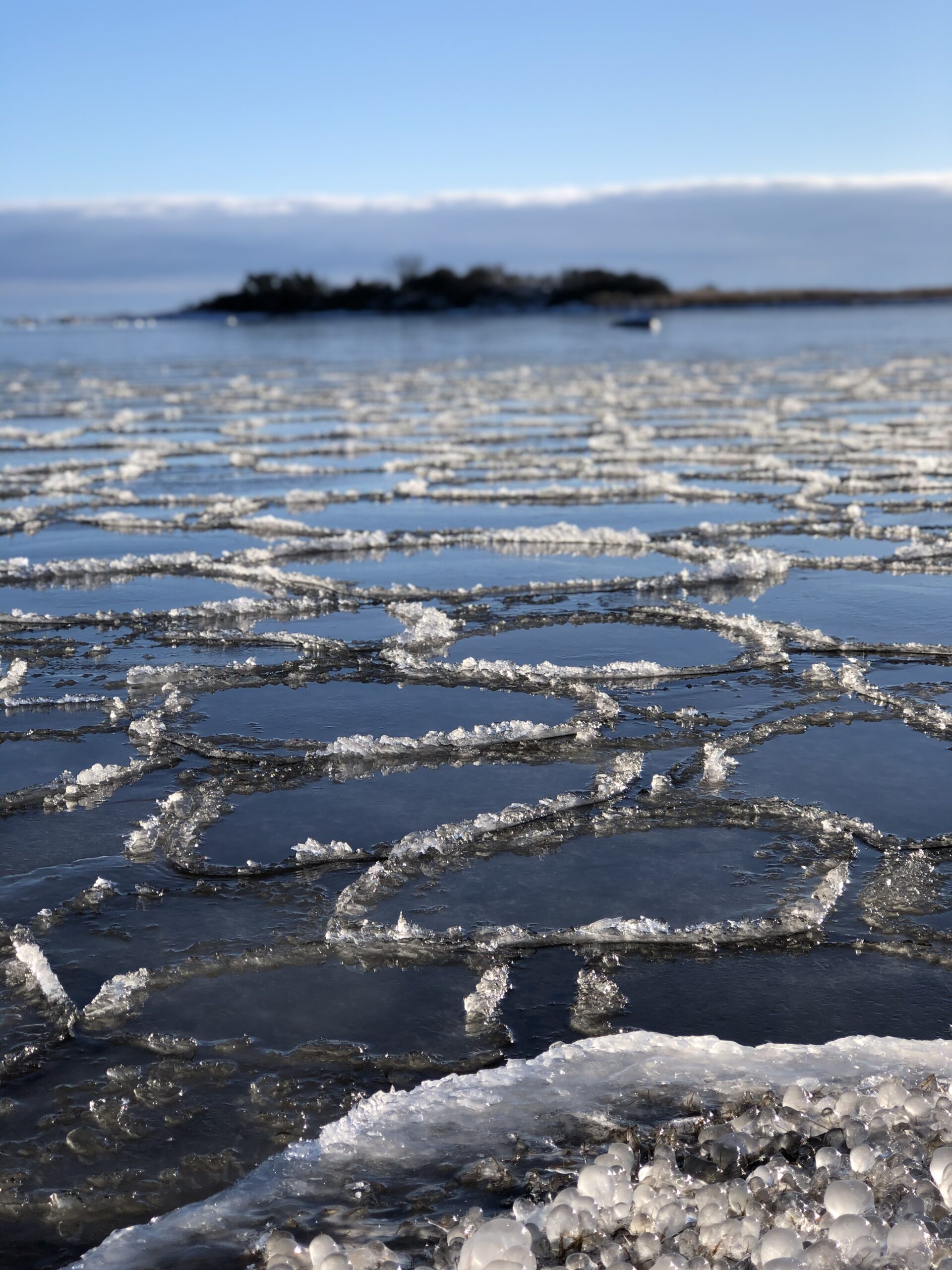 Isflak på havet