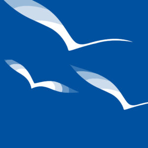 Illustration av vårt grafiska element fåglar. Visas på en kvadratisk ruta med blå bakgrund och tre måsliknande fåglar som sträcker sig över bilden.