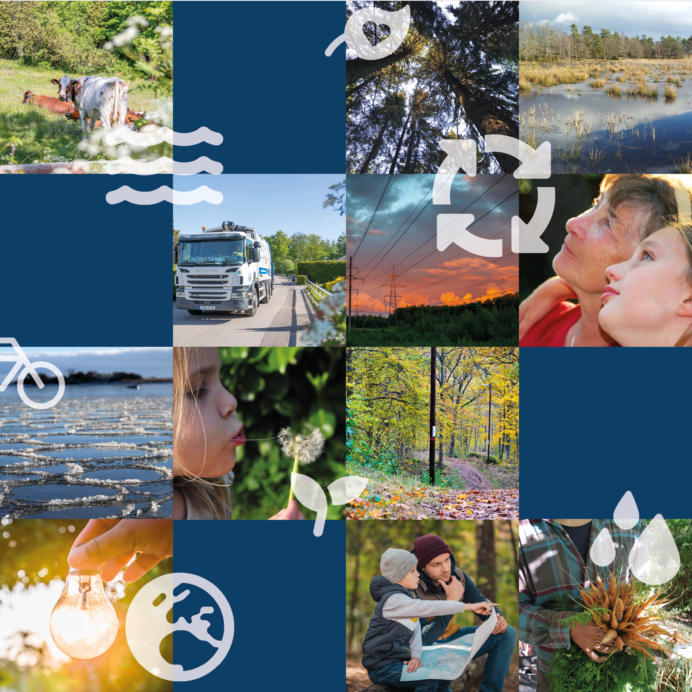 Kollage med foton på kossa, tallar, våtmark, sopbil, elledningar, glödlampa, morötter och personporträtt