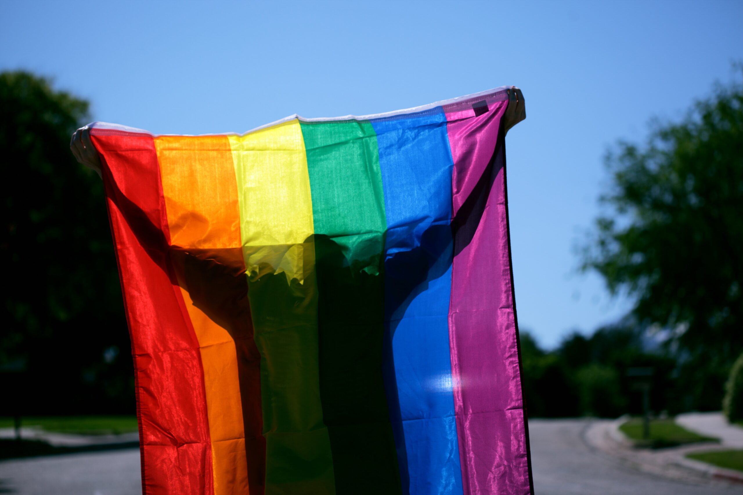 En person står i motljus och håller upp en pride-flagga bakom sig. Det är klarblå himmel och i bakgrunden syns stora lövrika träd