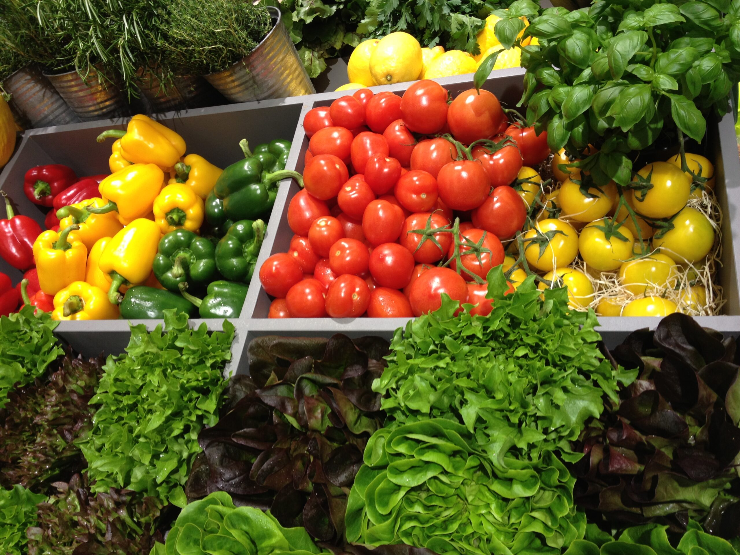 Paprika, tomat, sallad och örter