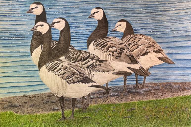 Fåglar vid vatten, målning av Jan Hultman