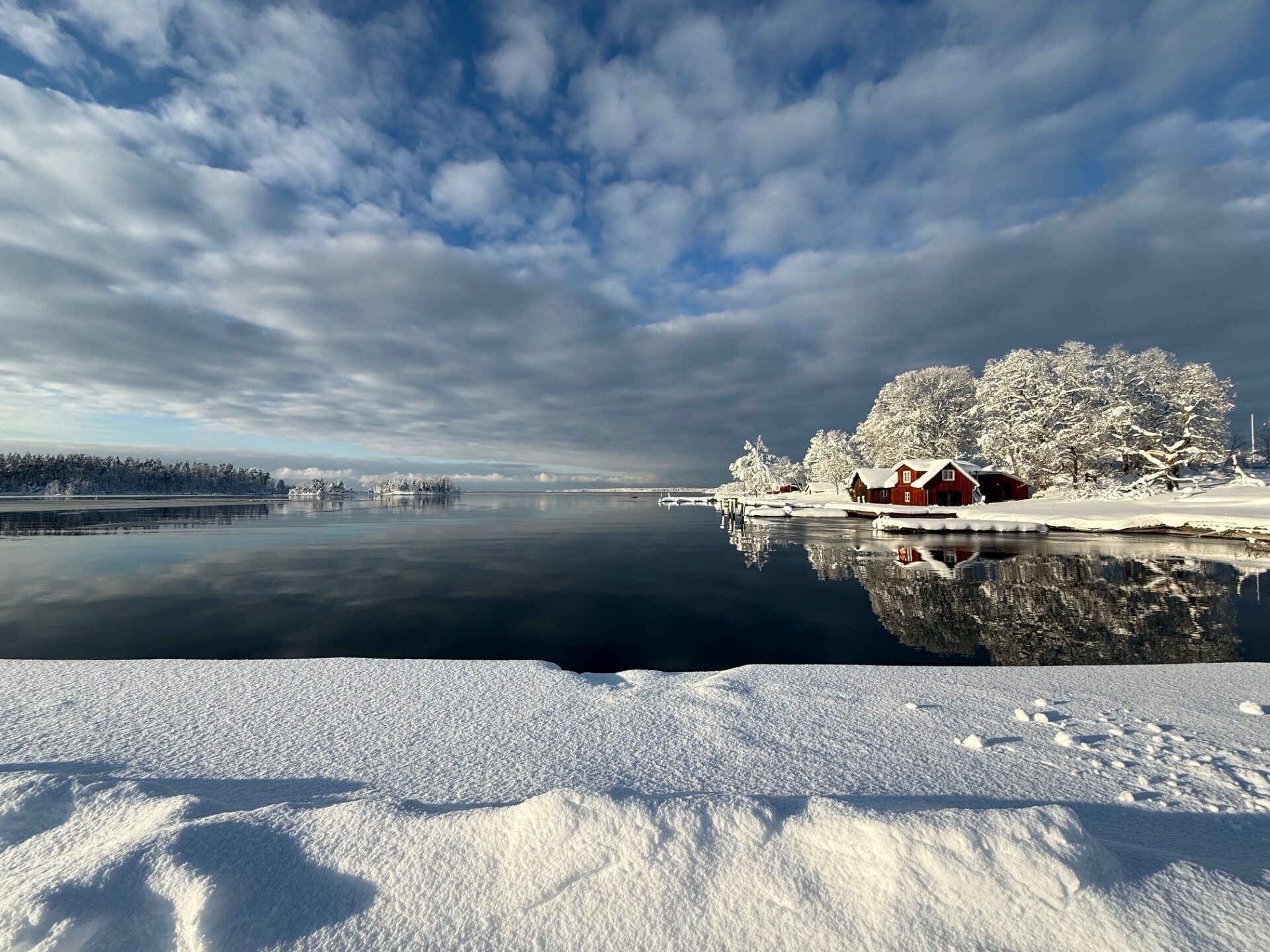 Hav, ett rött hus och snätäckta träd med snö i förgrunden, spegelvänd