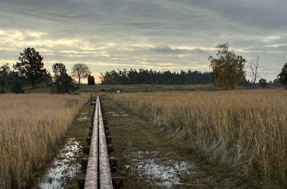 Spången som leder till Källarholmen